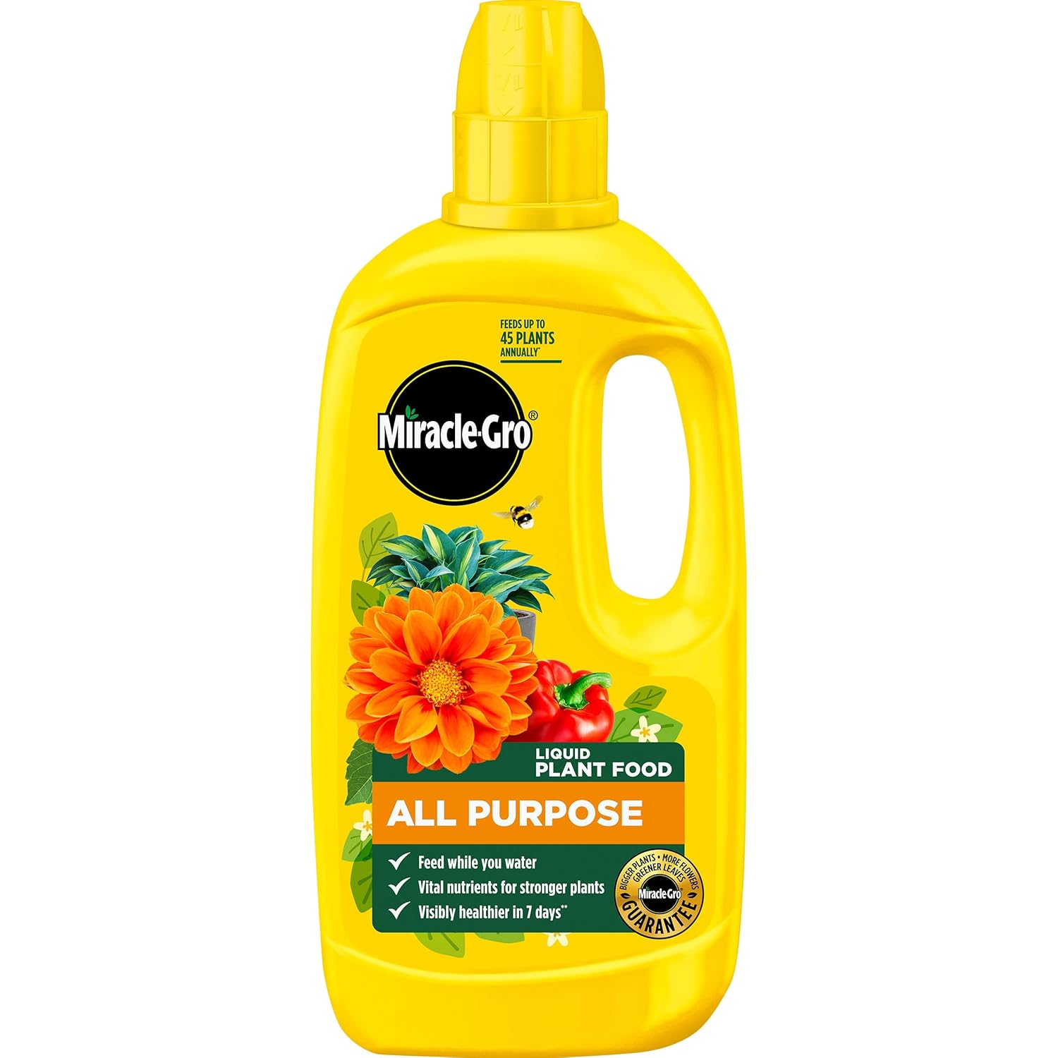 Miracle-Gro All Purpose Concentrated Liquid Plant Food 800ml yellow bottle showing orange dahlia and red pepper graphics on the front label