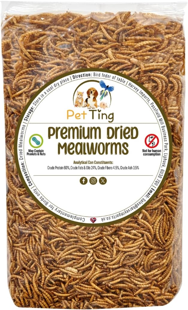Pet Ting Premium Dried Mealworms Review: Why UK Robins Keep Showing Up For This 5L Bag