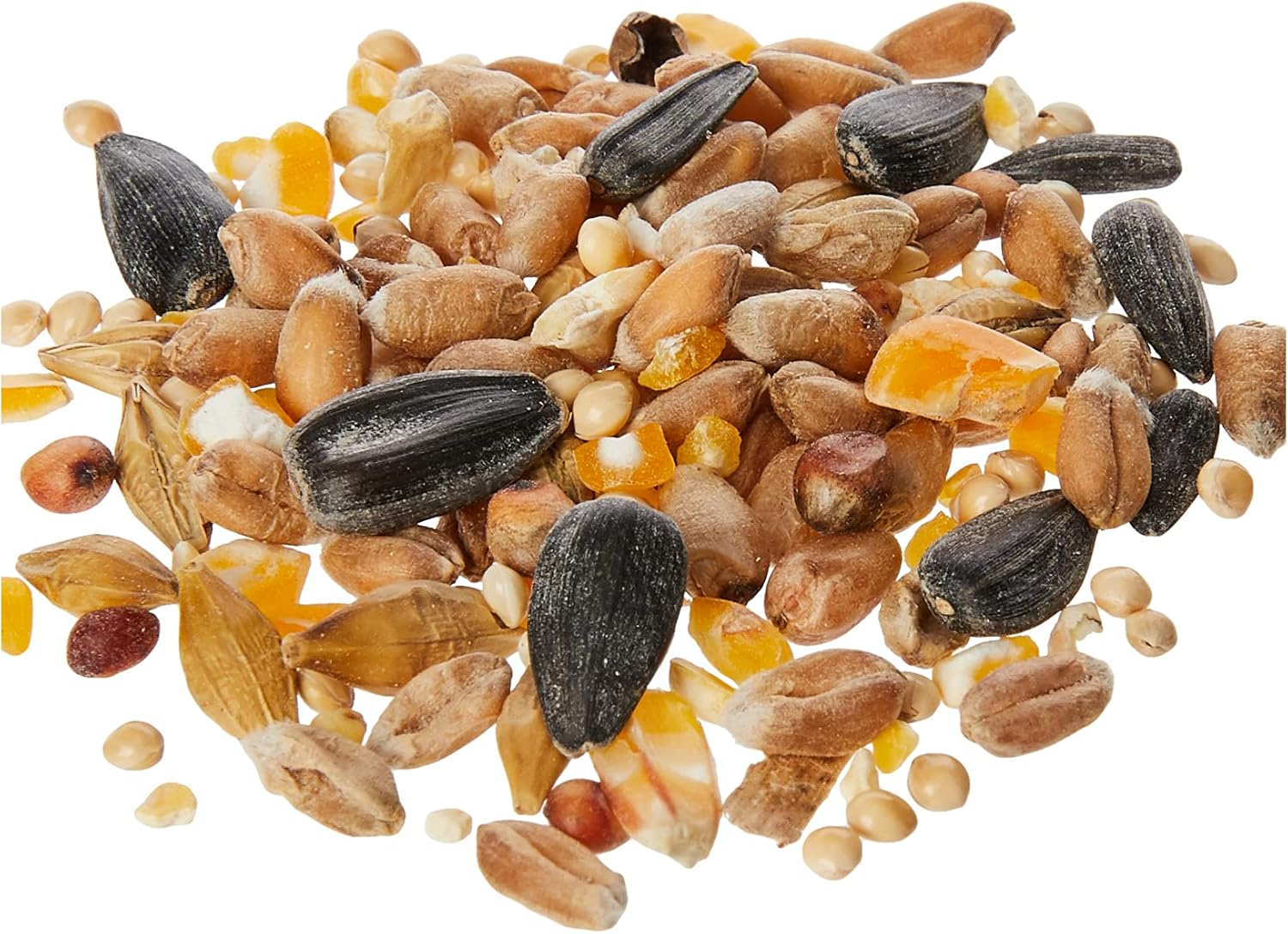 Close-up of Extra Select wild bird seed mix showing black sunflower seeds and grain