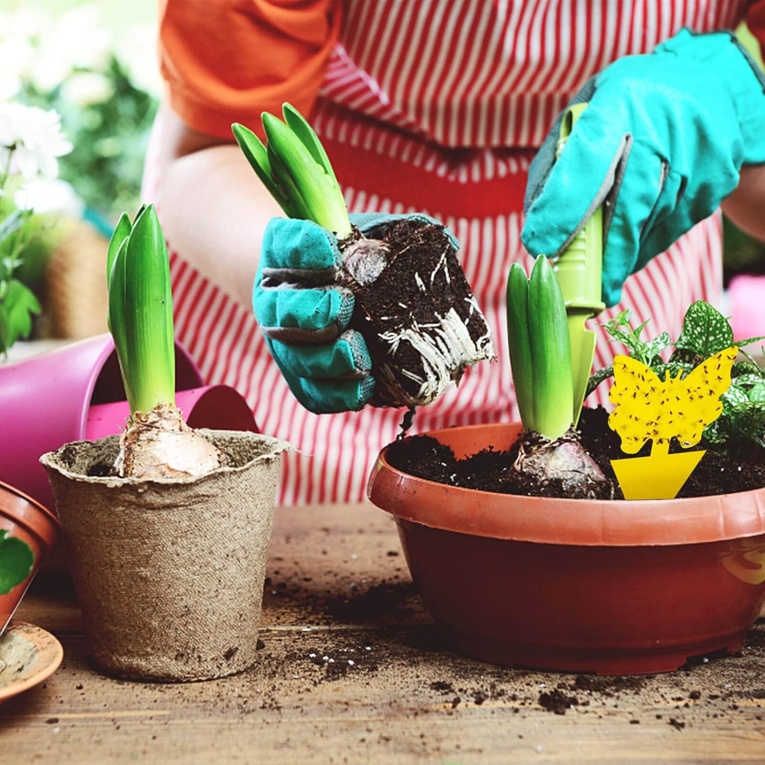 Detail shot of the yellow printed pattern on the sticky trap