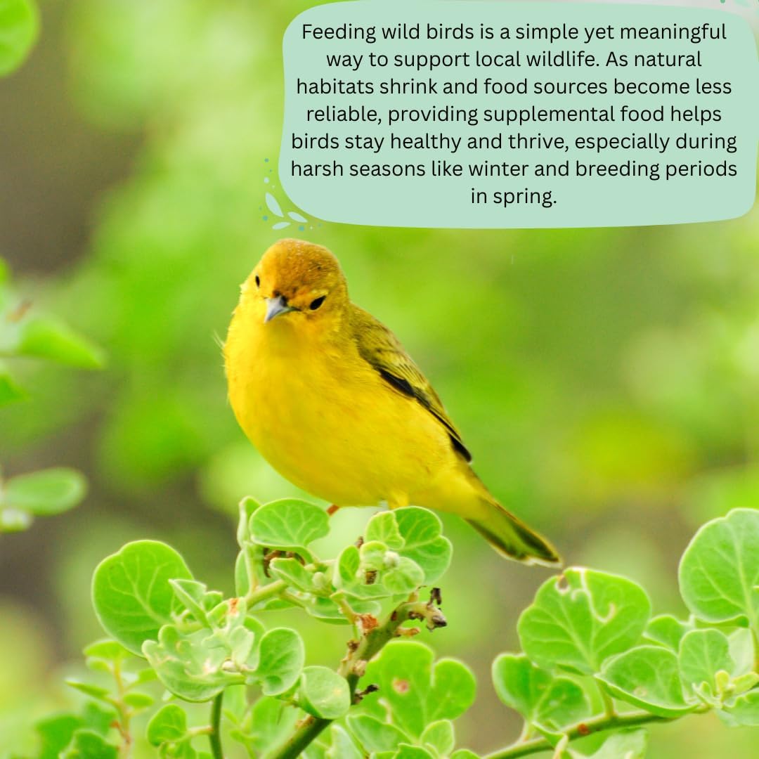 Pet Ting dried mealworms texture showing whole intact worms