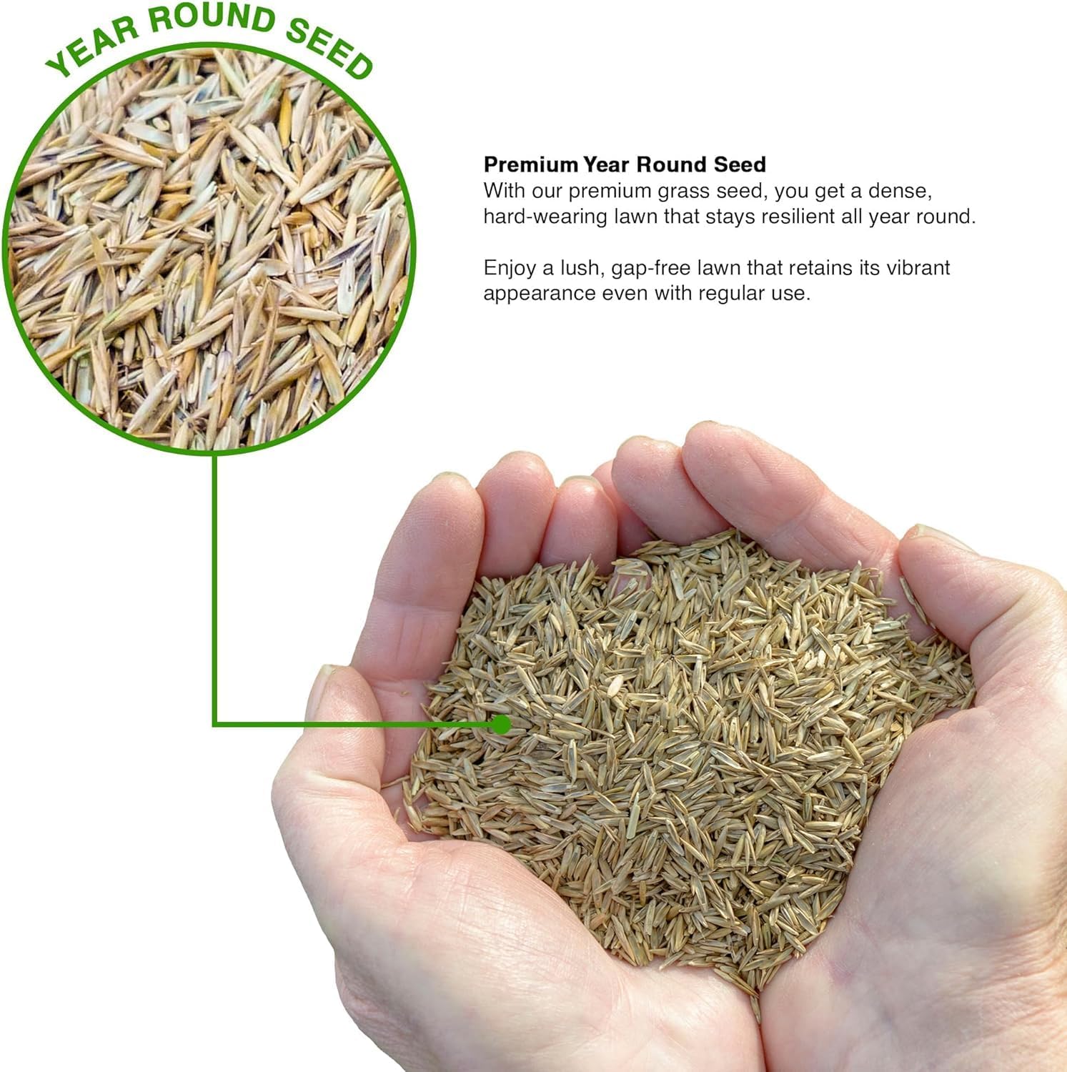 GroundMaster Premium Lawn Grass Seed 2.5kg bag full product shot