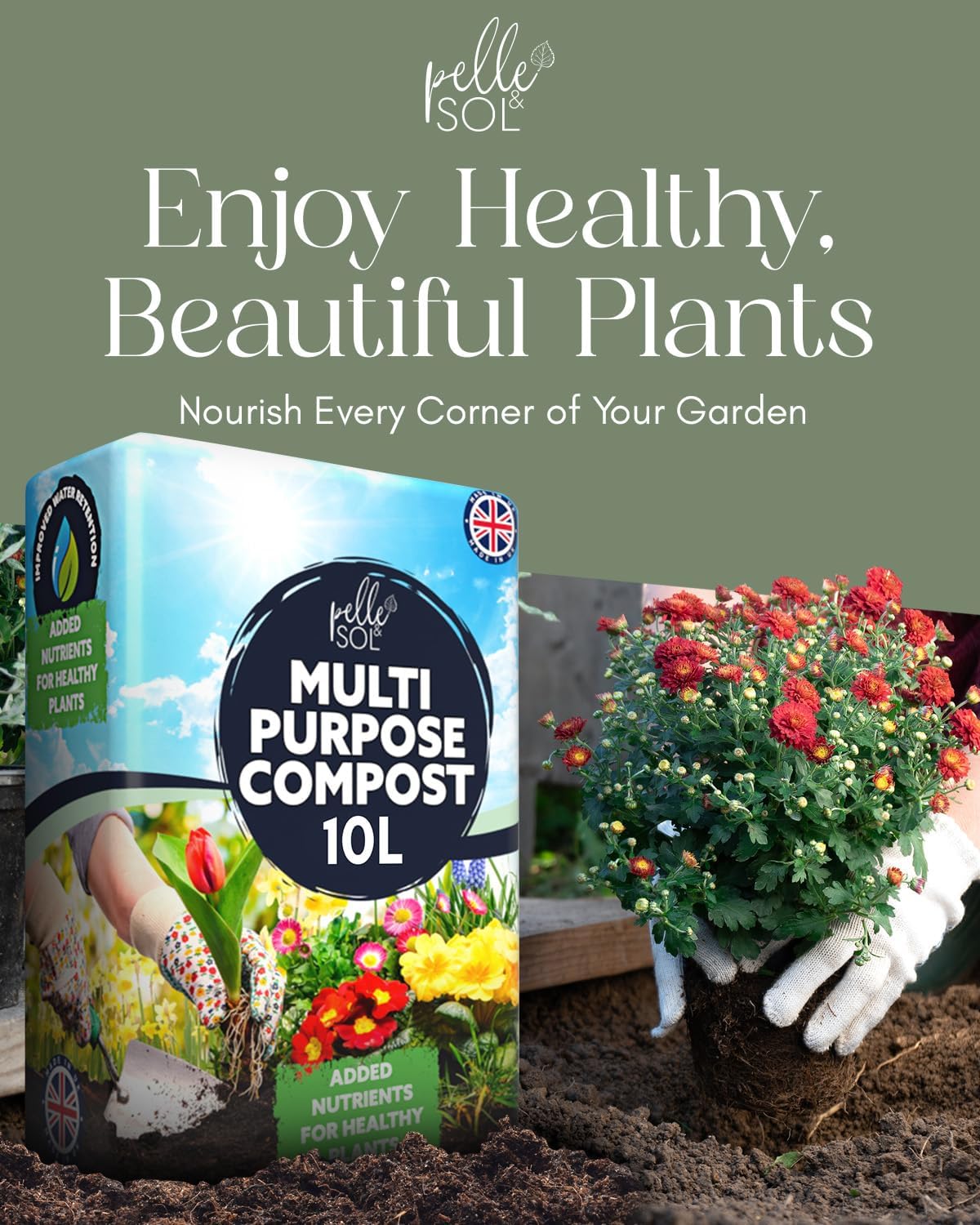 Pelle & Sol compost bag beside a flowering chrysanthemum being planted into a garden border