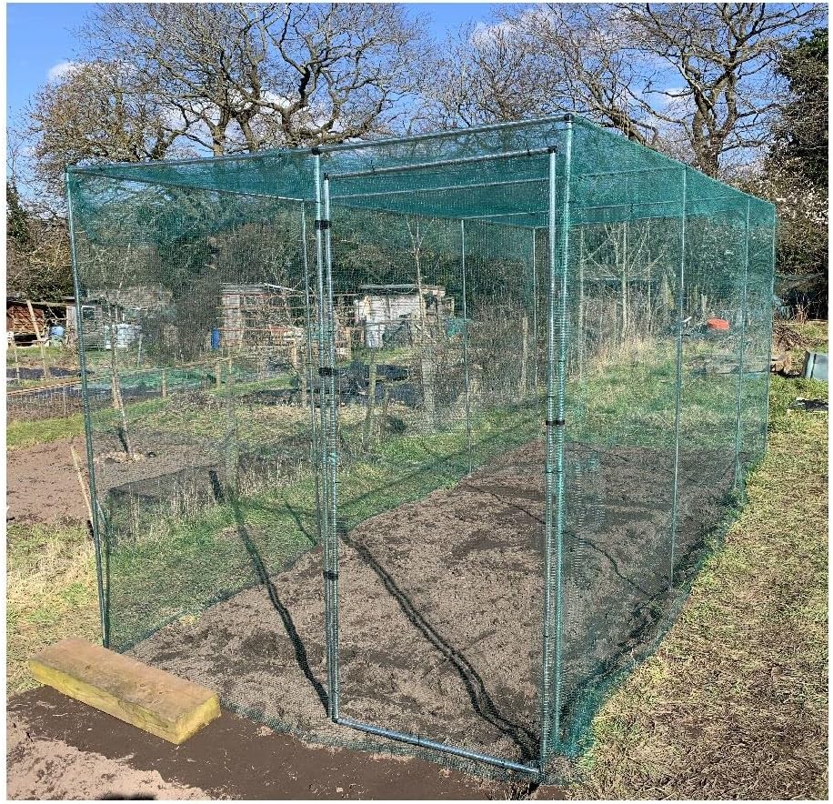 Large walk-in fruit cage on an allotment covered in green Gardening Naturally netting, bare trees behind