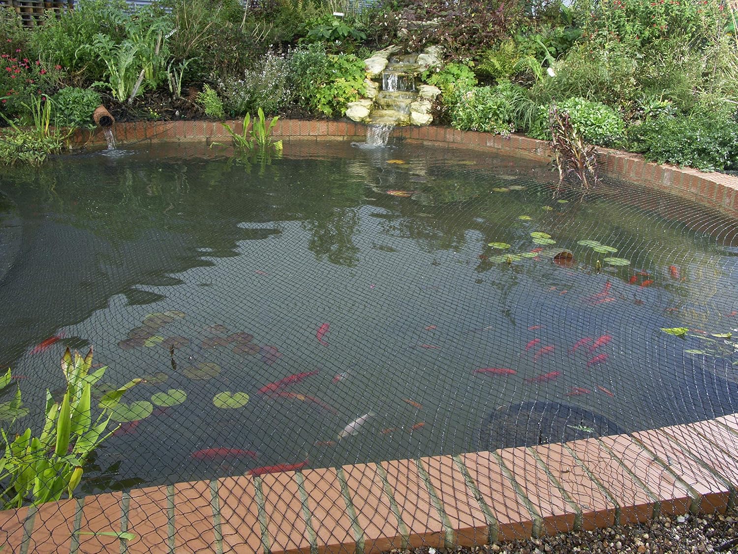 Blagdon Clearview net stretched over a brick-edged pond in clear water, sitting at the water surface with lily pads and orange fish directly beneath the black mesh
