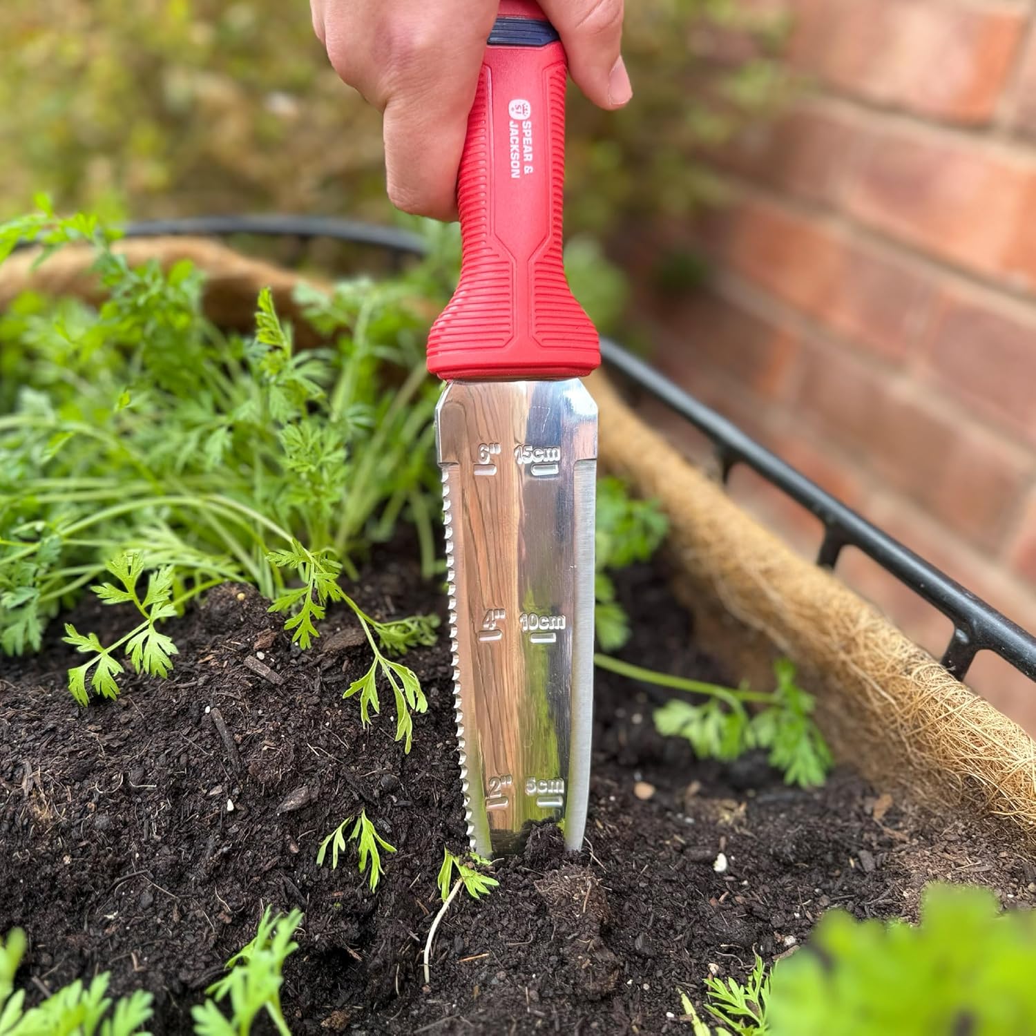 Hand pushing the stainless hori hori blade into dark compost beside young carrot seedlings in a coir-lined planter
