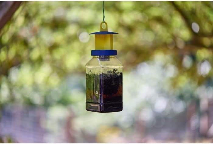 Close-up of the Zero In fly trap product showing the 4-way entry cap and bottle design