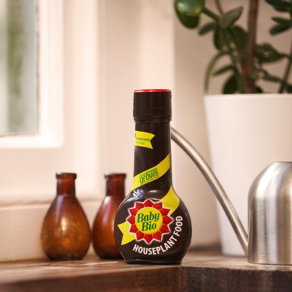 Baby Bio bottle on a wooden kitchen windowsill beside a silver watering can and a jade plant