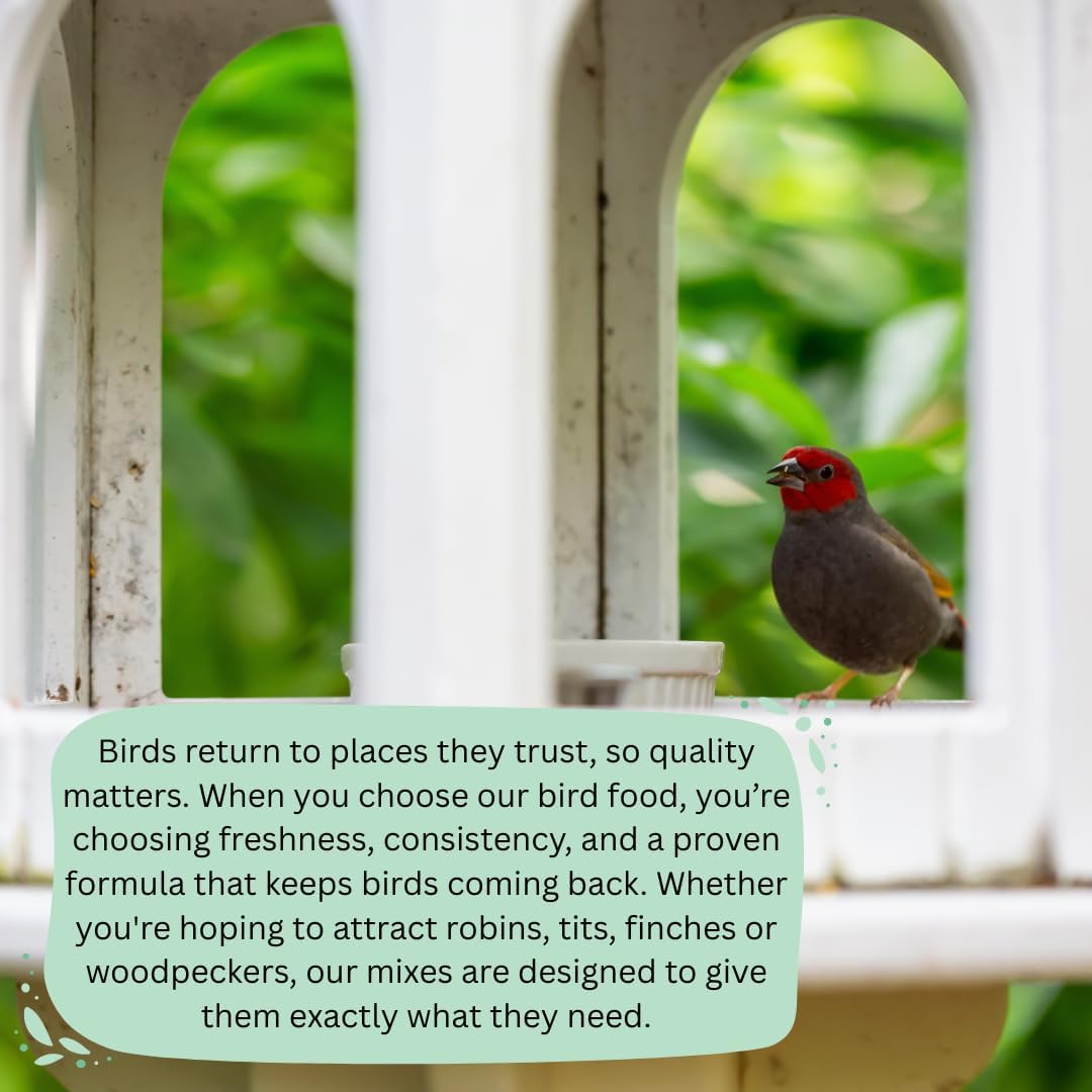 Pet Ting dried mealworms bag showing packaging and size