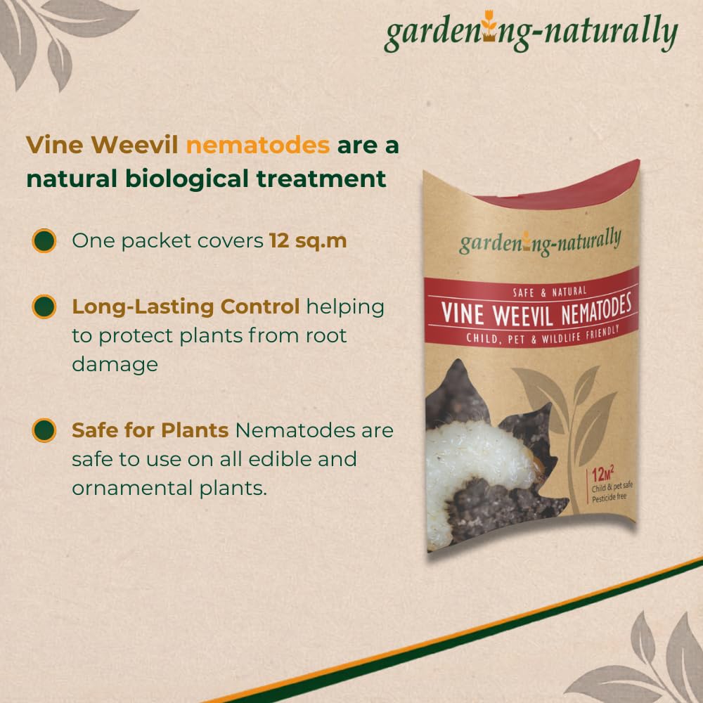 Angled view of the vine weevil nematodes pack showing product details