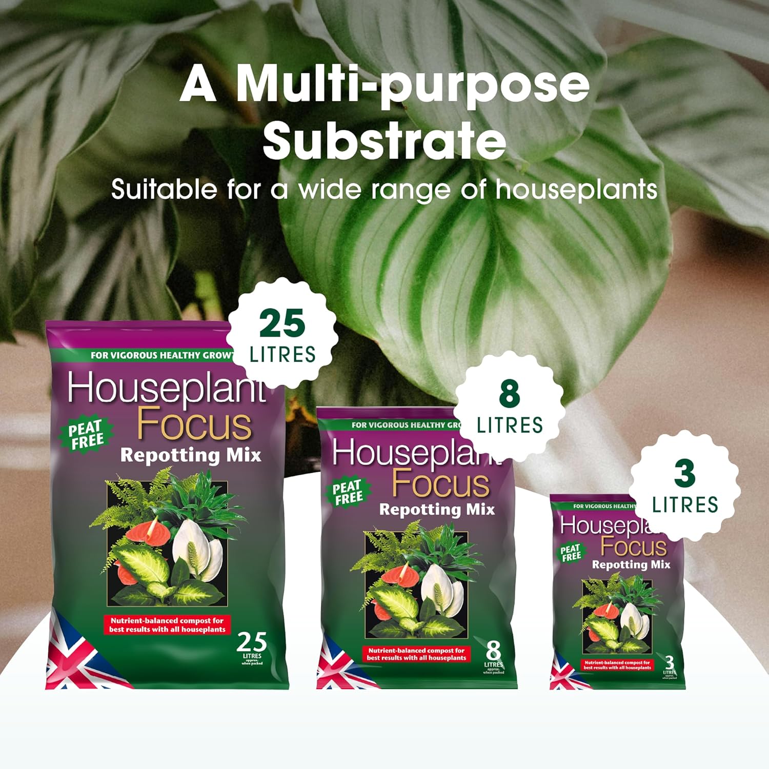 Houseplant Focus Repotting Mix range shown in 25 litre, 8 litre and 3 litre bag sizes