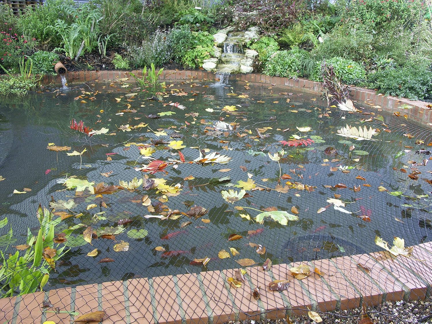 Pond Cover Net for Autumn Leaves UK: Blagdon's Clearview Catches Leaves. Three Charities Say What Else It Can Catch