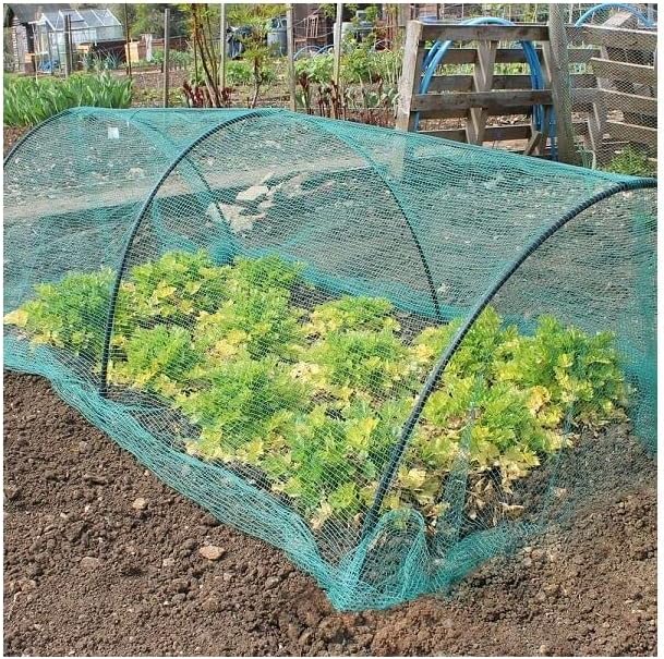 Green netting over hoops forming a low tunnel protecting a bed of salad leaves in a vegetable garden