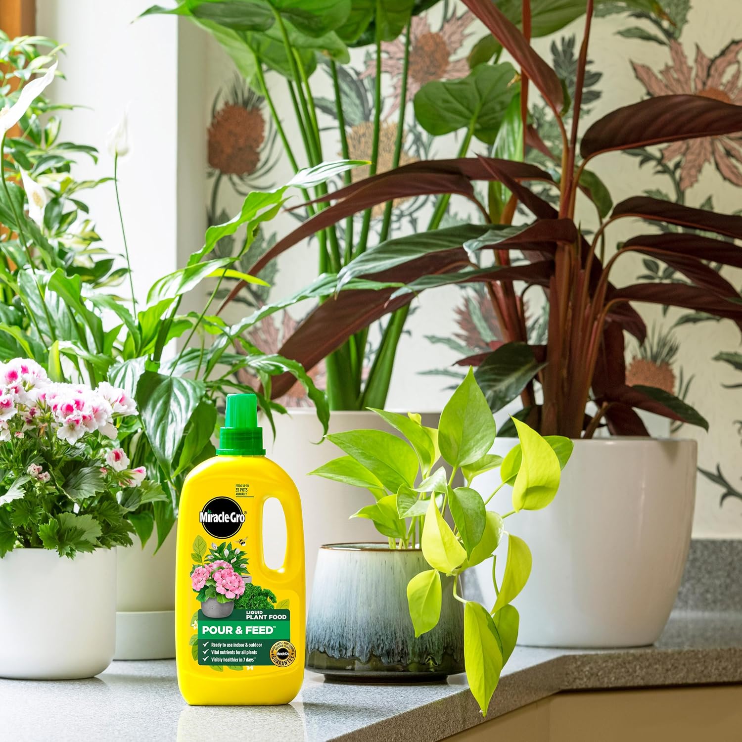 Miracle-Gro Pour and Feed bottle displayed with indoor houseplants on a kitchen counter