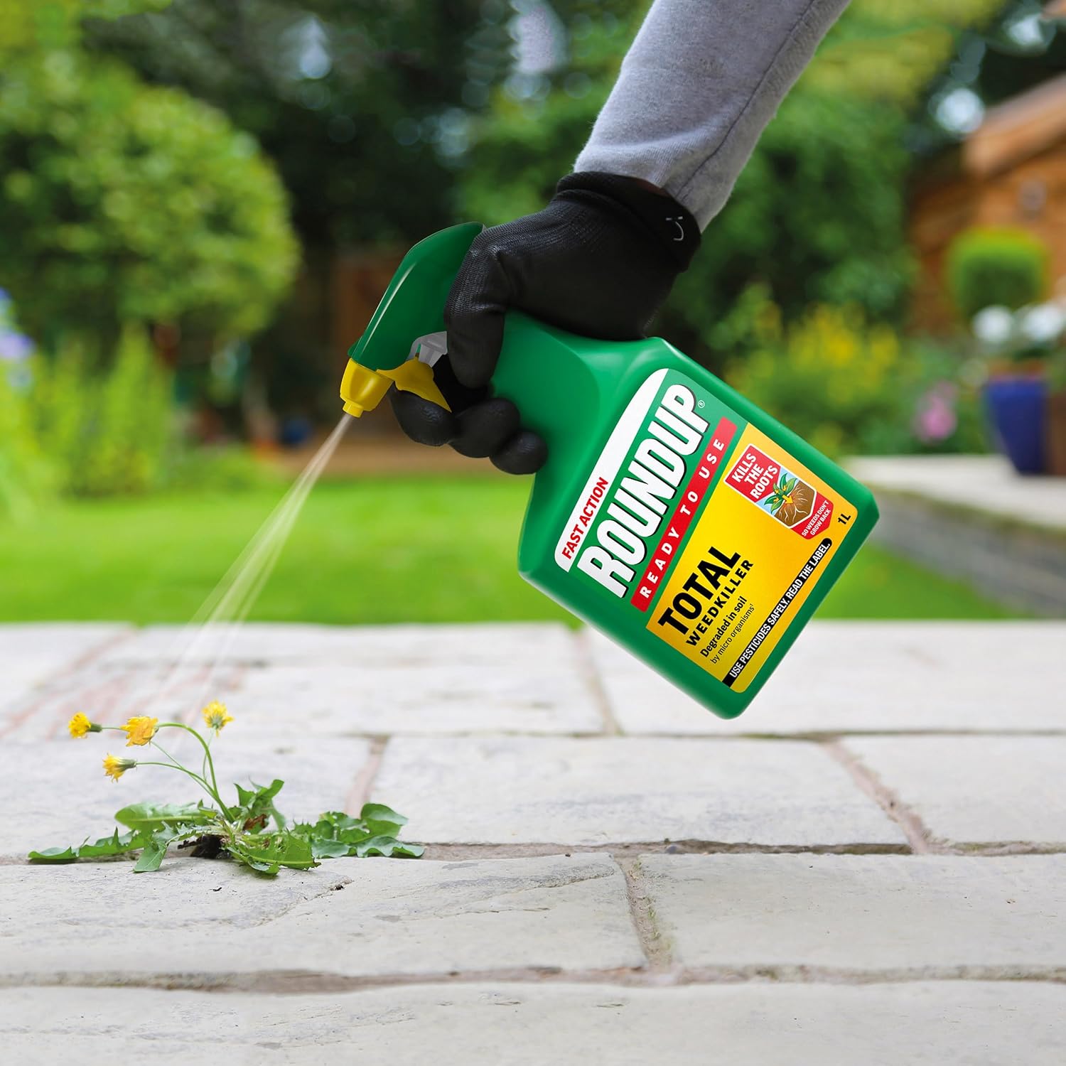 Close up of weeds being sprayed, showing the fine mist pattern from the trigger bottle