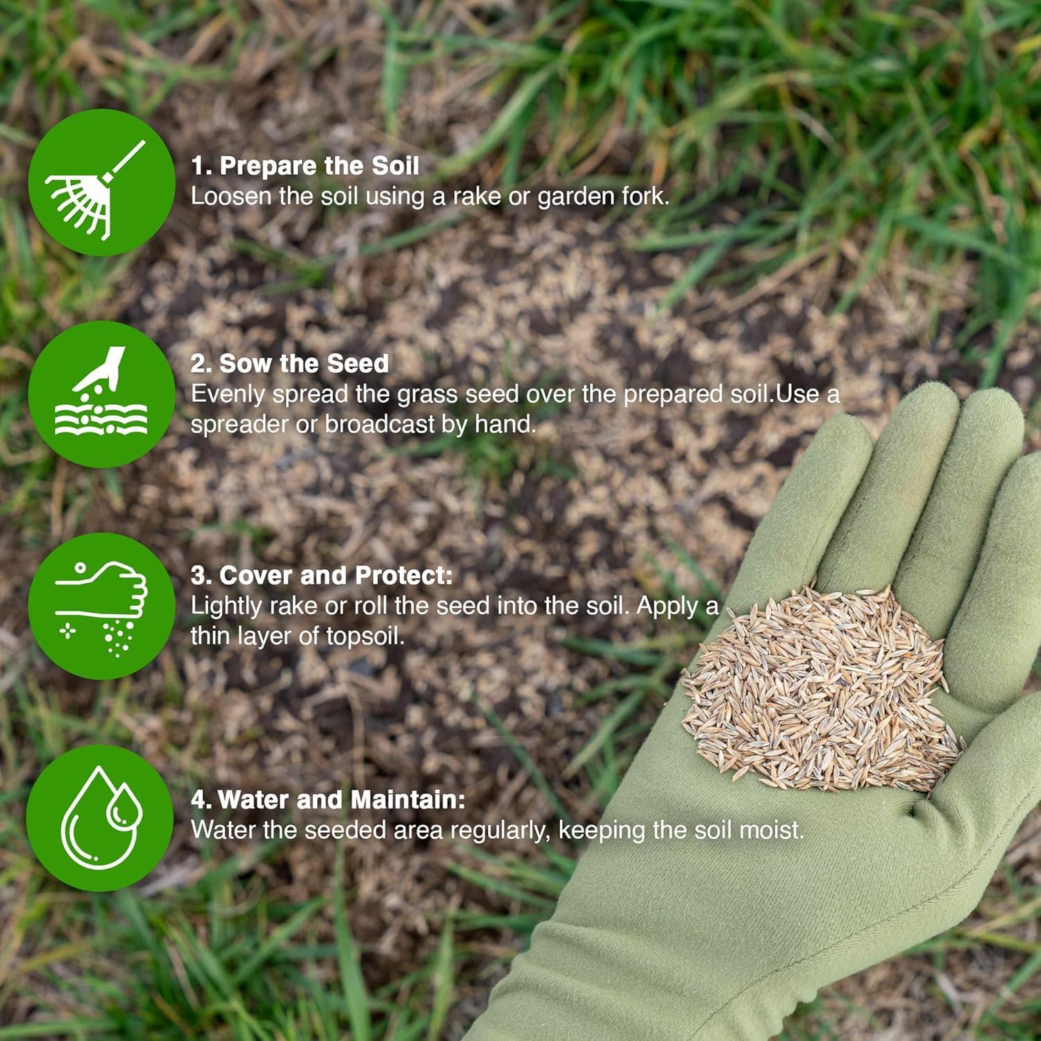 Close-up of GroundMaster grass seed grains showing colour and texture