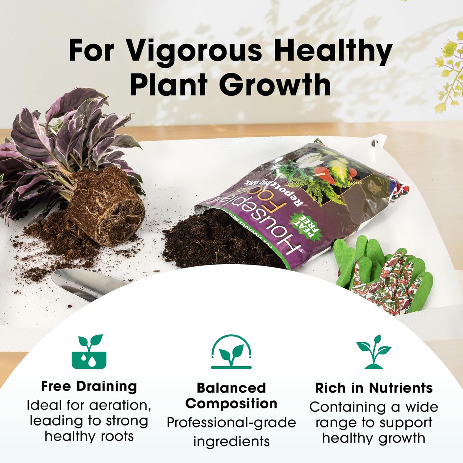 Infographic showing the mix's free draining, balanced composition and nutrient-rich claims beside an open bag and repotted calathea