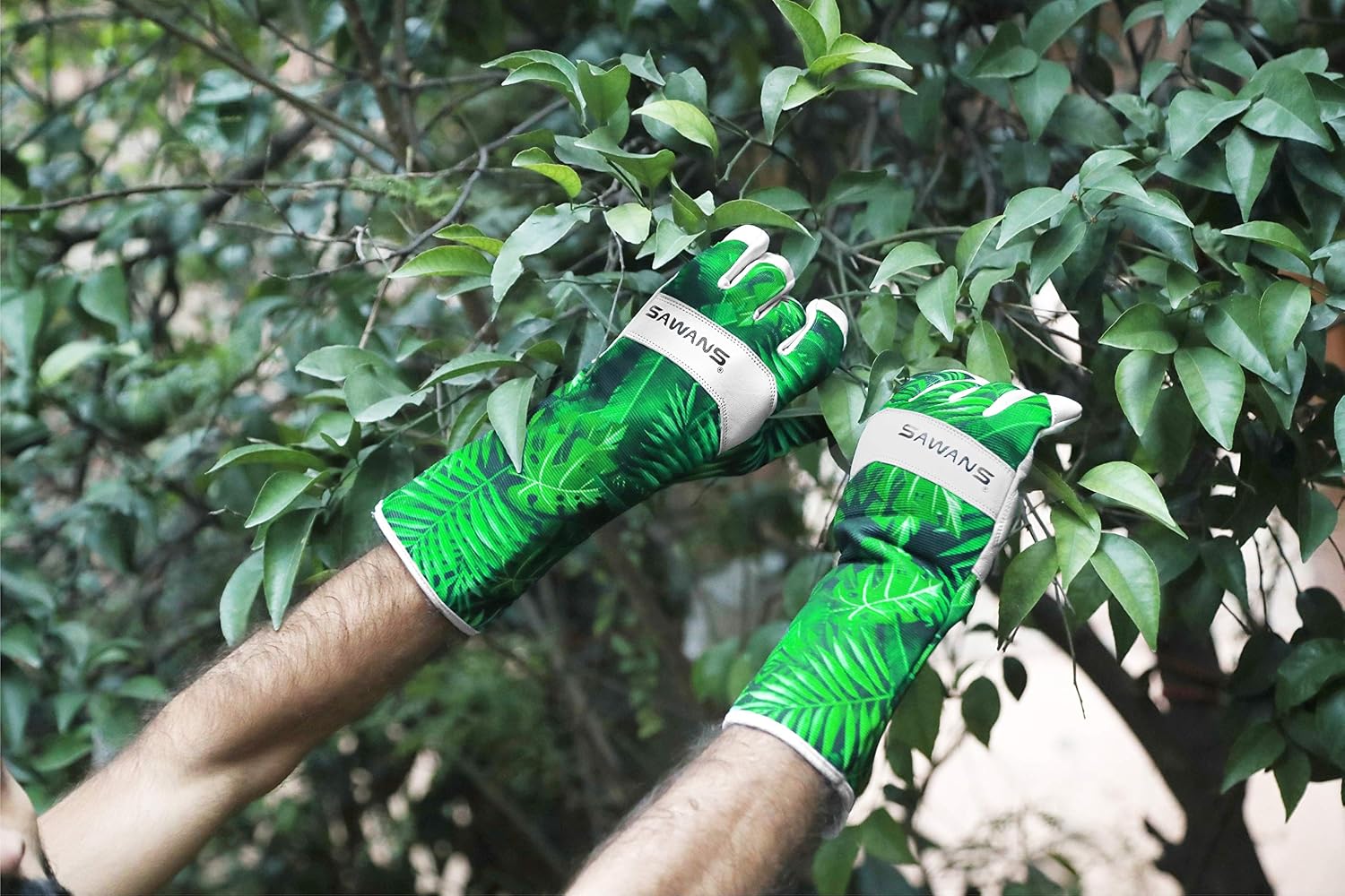 Gloved hands reaching into a dense leafy shrub to work among the stems