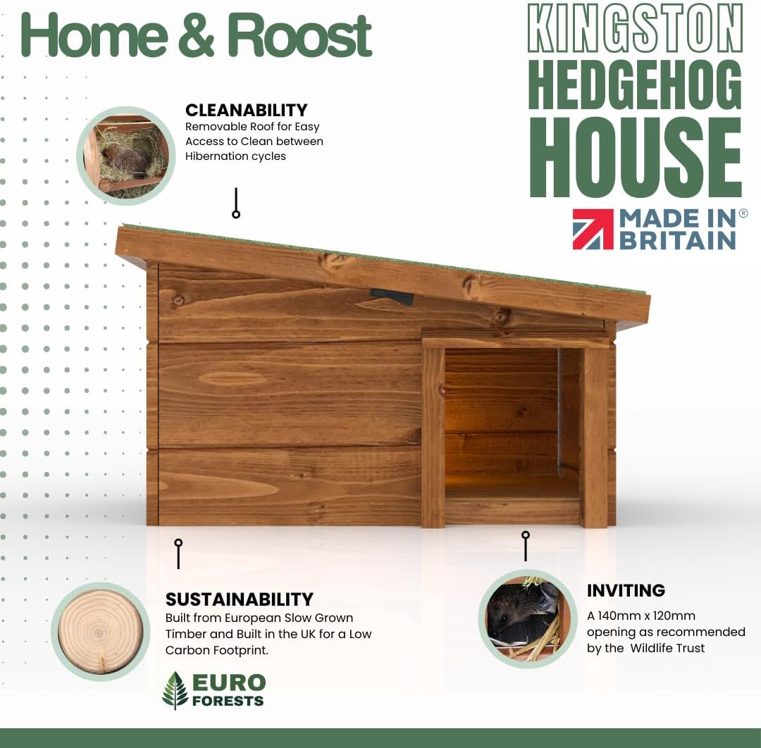 Home and Roost infographic of the Kingston hedgehog house from the front, with callouts for the removable roof, European slow-grown timber and a 140mm x 120mm opening it says the Wildlife Trust recommends, plus two inset photographs of a hedgehog