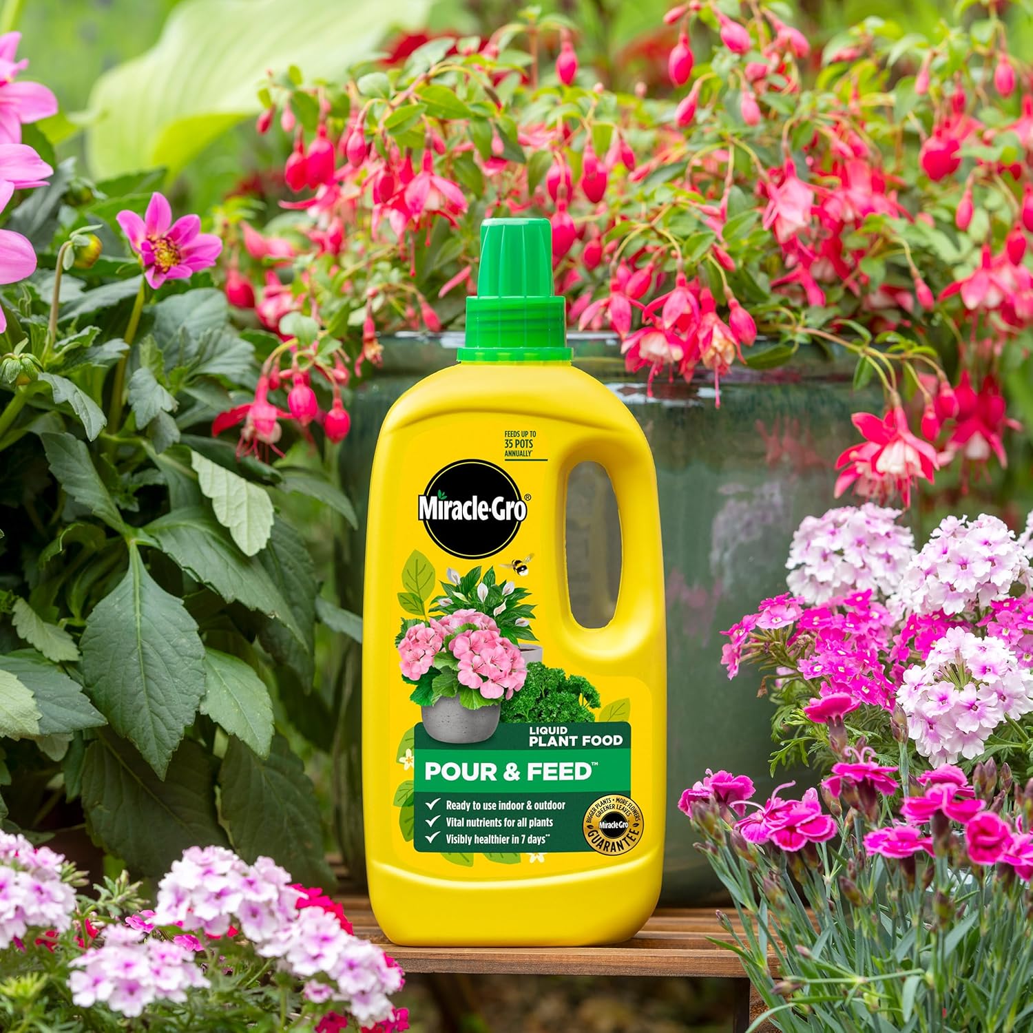 Miracle-Gro Pour and Feed bottle surrounded by colourful flowering garden plants
