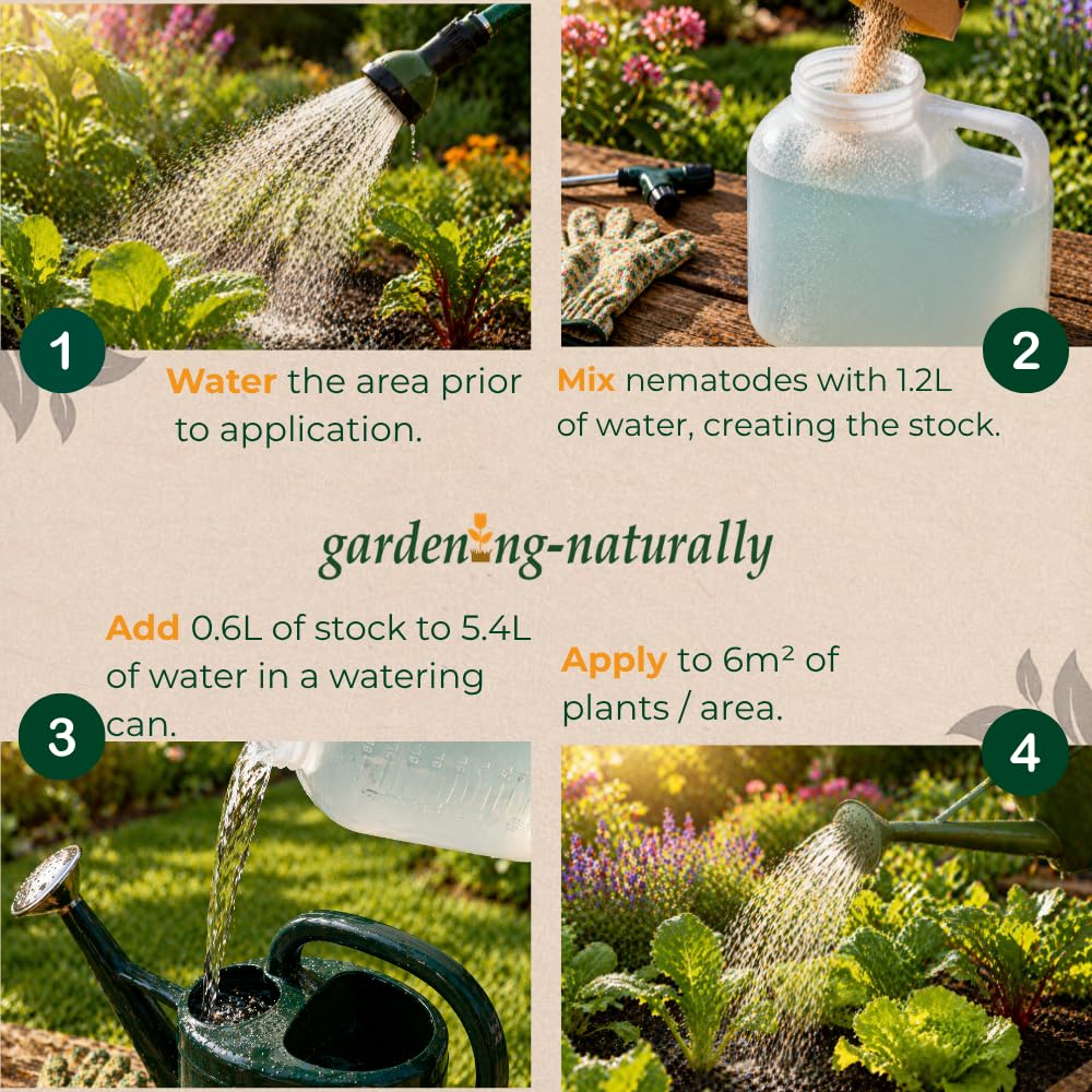 Sachet packaging of the Gardening Naturally vine weevil nematode treatment