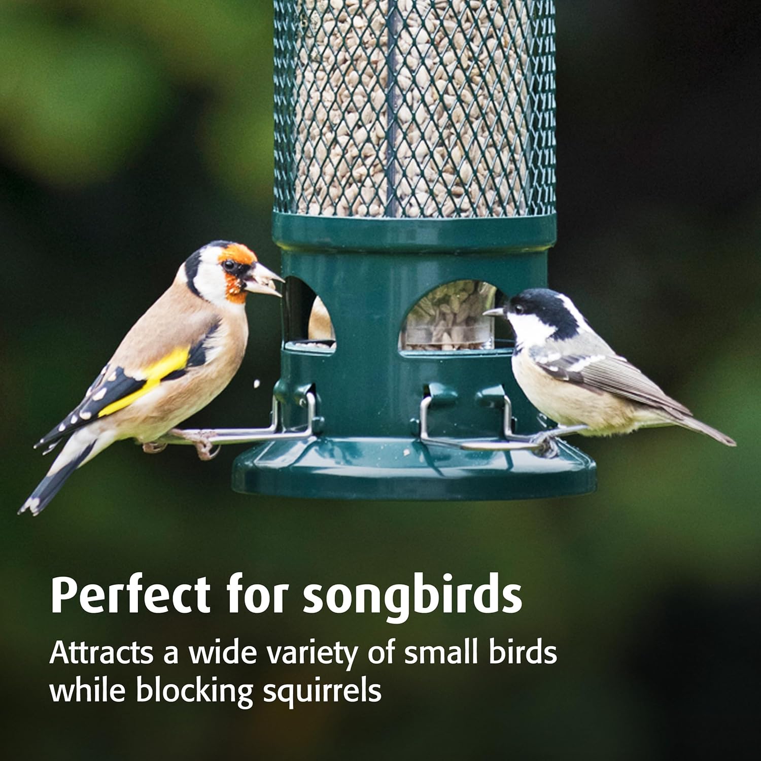 Goldfinch and coal tit feeding from the wire perches of the Squirrel Buster seed feeder