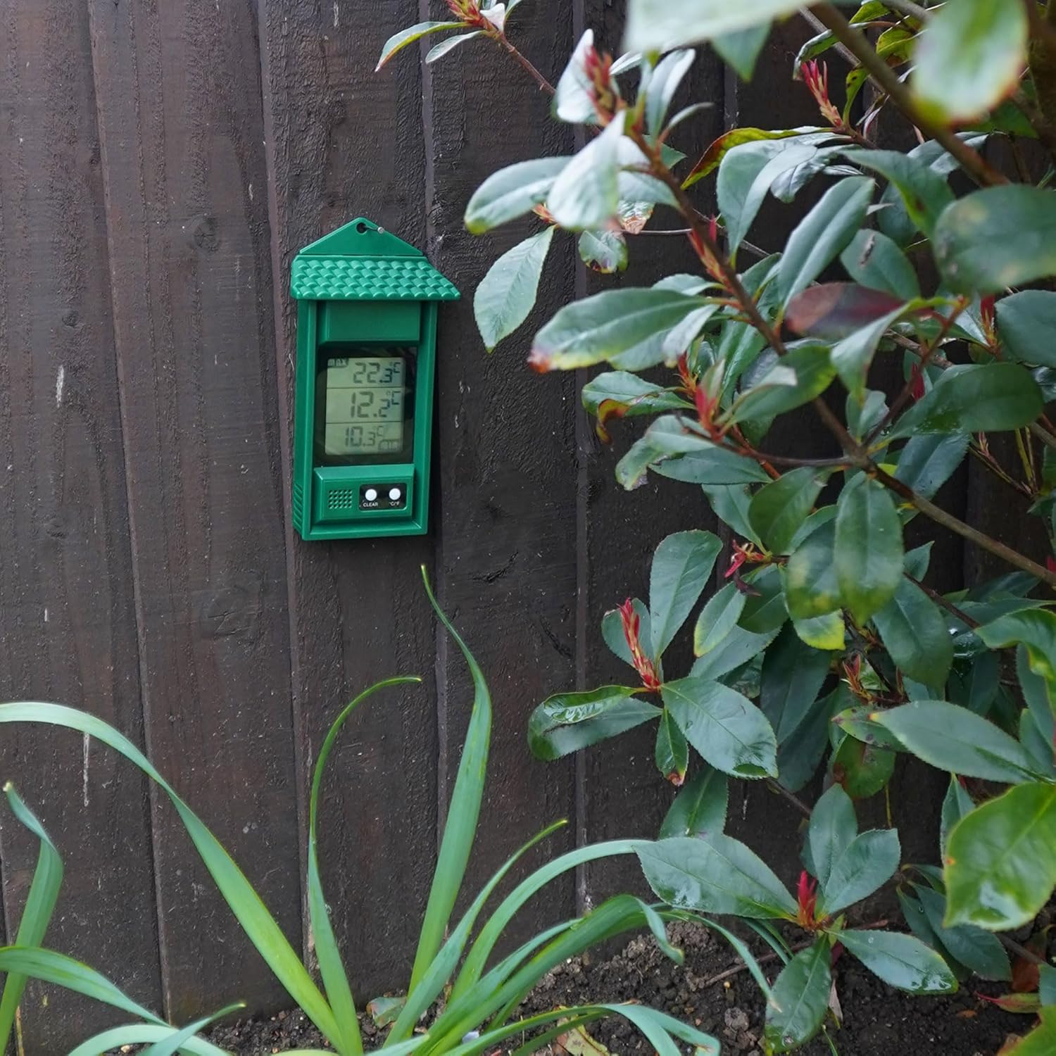 The green ETI max min thermometer screwed to a dark fence panel in a garden border, display showing a 22.3C recorded maximum