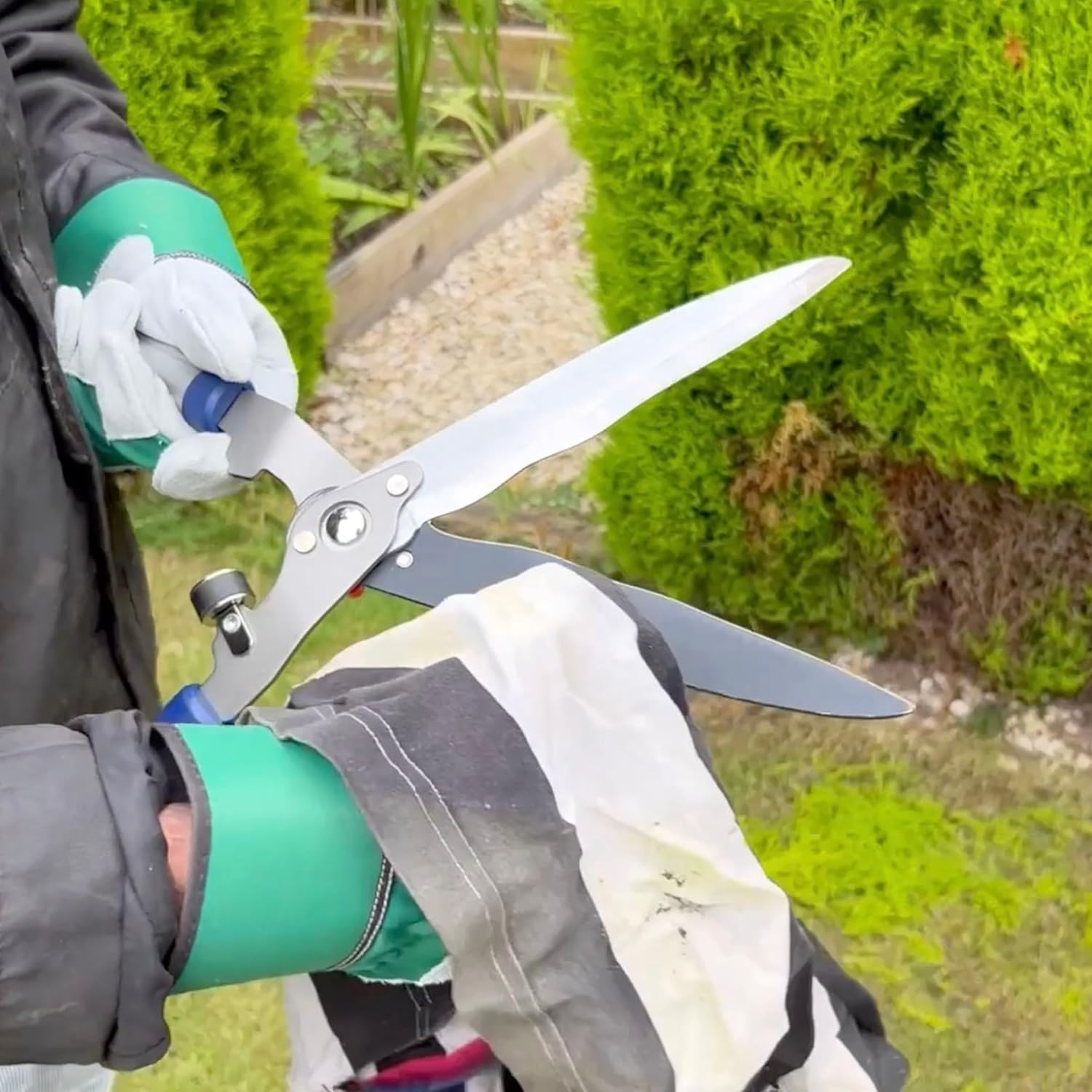 Spear and Jackson 8120RS blades open wide showing the wavy carbon steel cutting edge