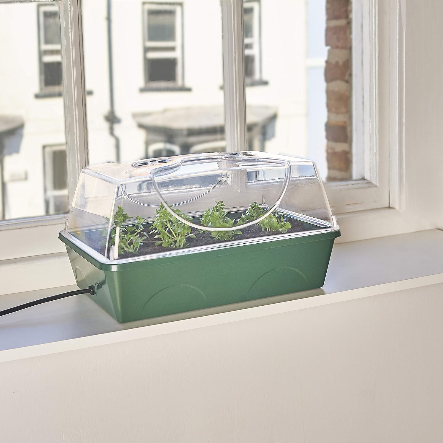 Green EarlyGrow propagator on a bright windowsill with cress seedlings growing under the clear dome