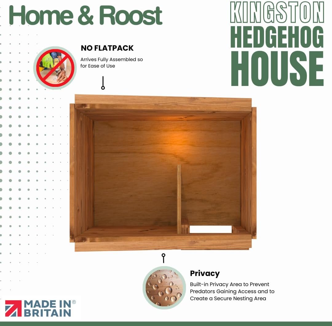 Top-down view inside the Kingston hedgehog house with the roof off, showing one partition wall across the interior with a gap at one end, captioned by Home and Roost as a built-in privacy area