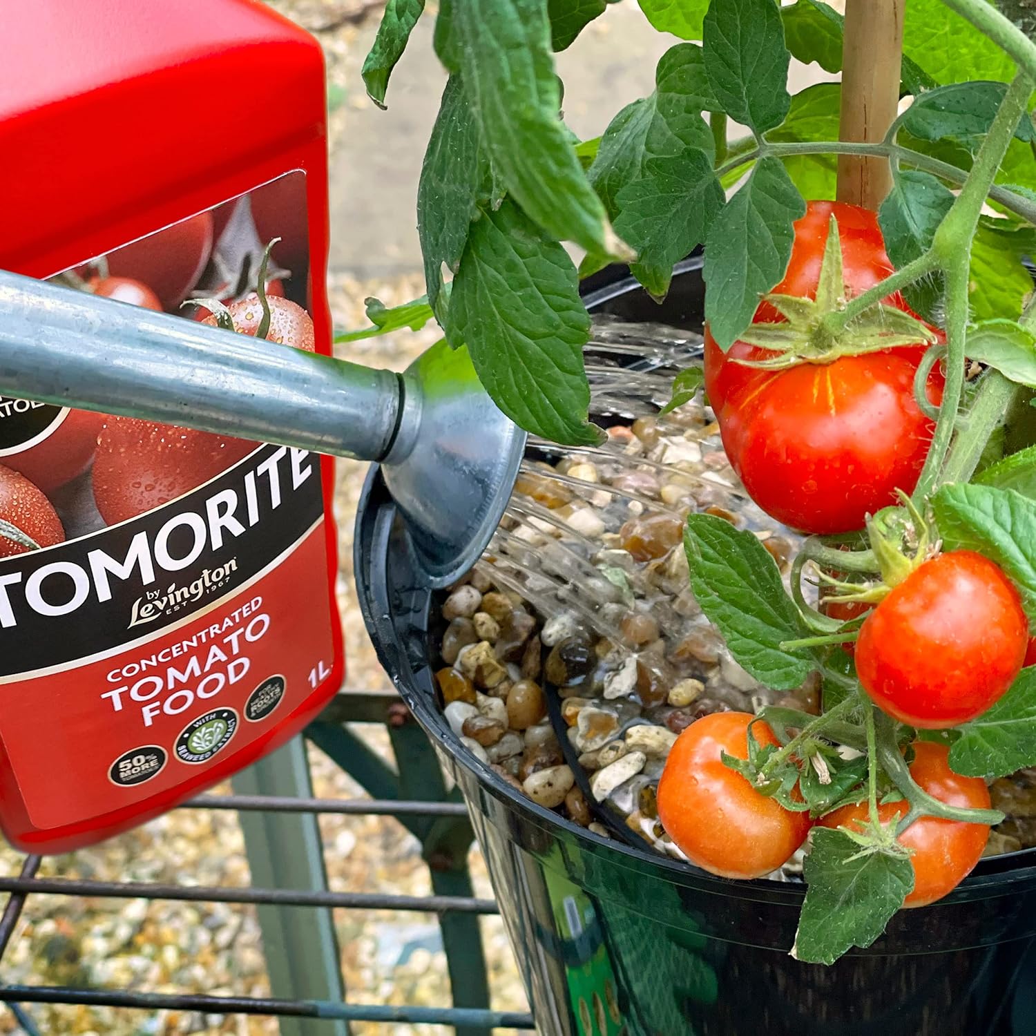 Tomorite bottle photographed in a real garden context with plants nearby