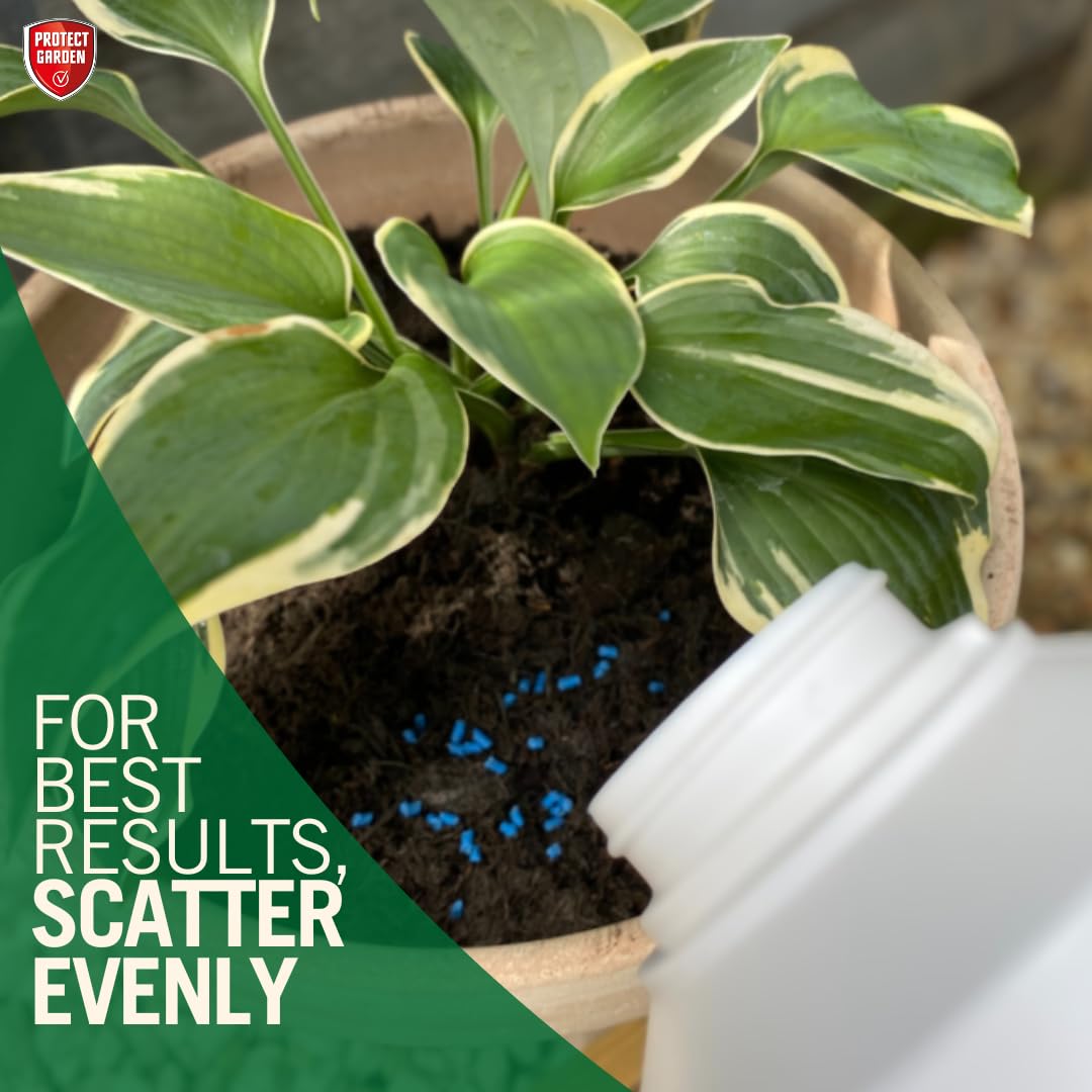 Provanto slug pellets applied around the base of a garden plant