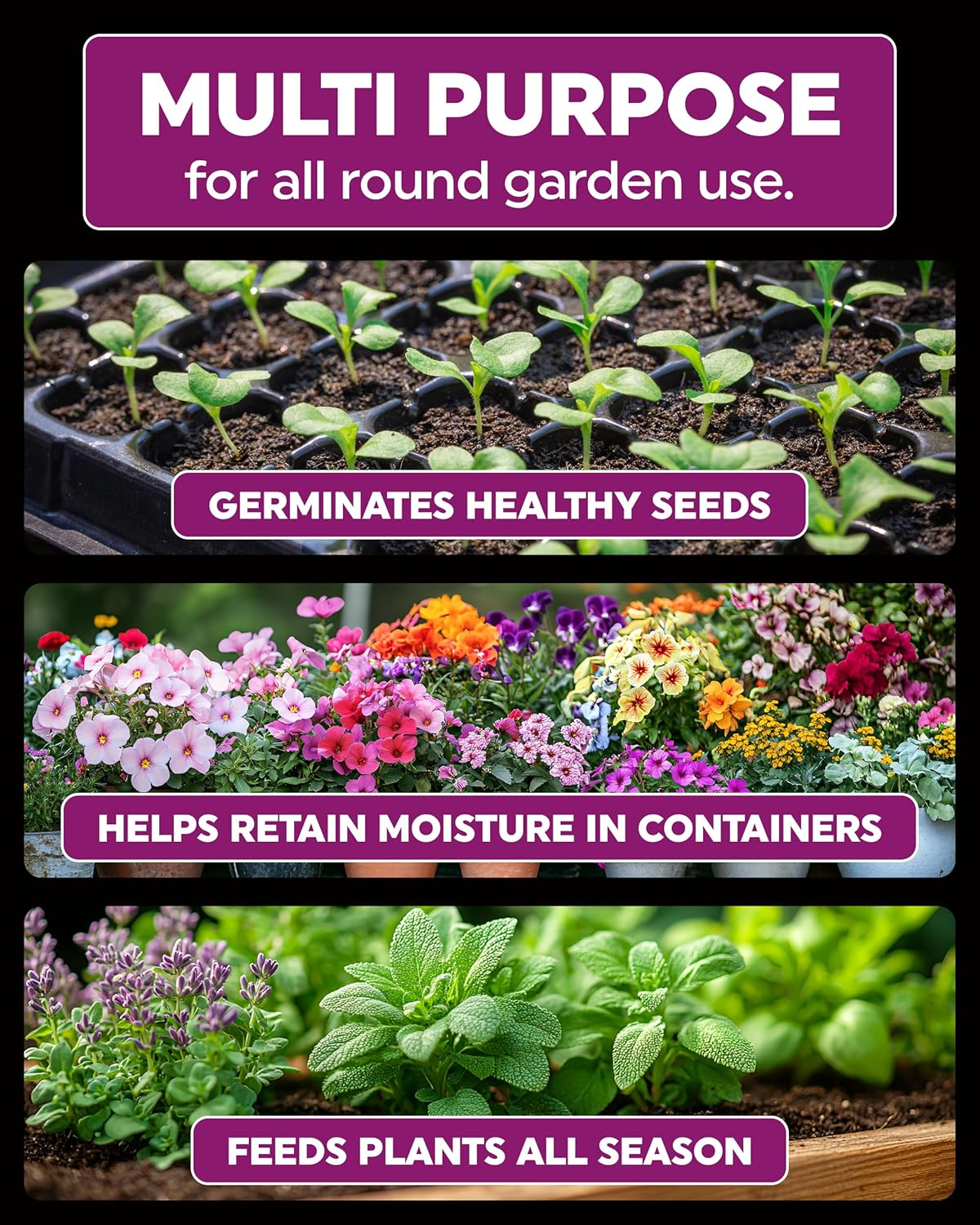 Growmoor compost being used for planting in garden containers