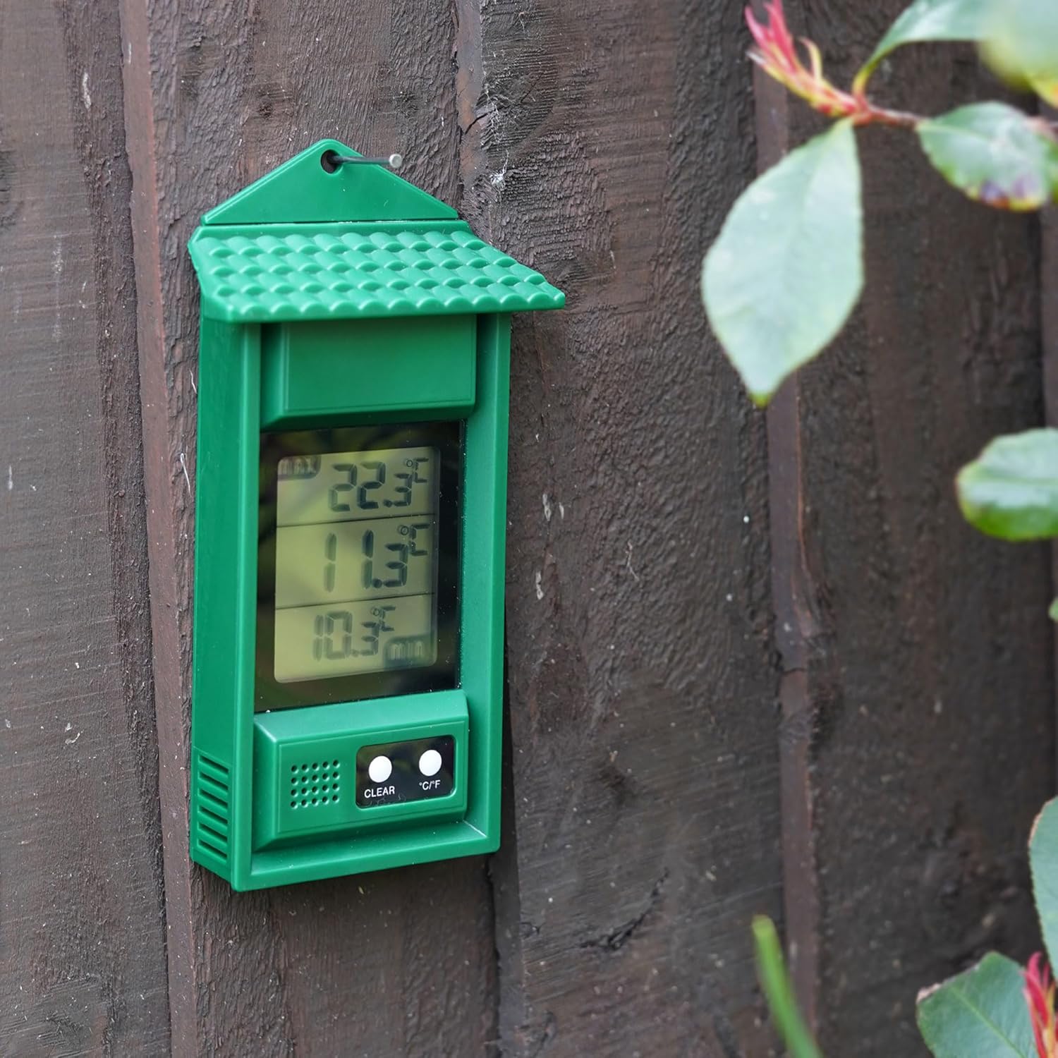 The green max min thermometer mounted on a dark wooden fence in a UK garden with the LCD clearly readable beside foliage