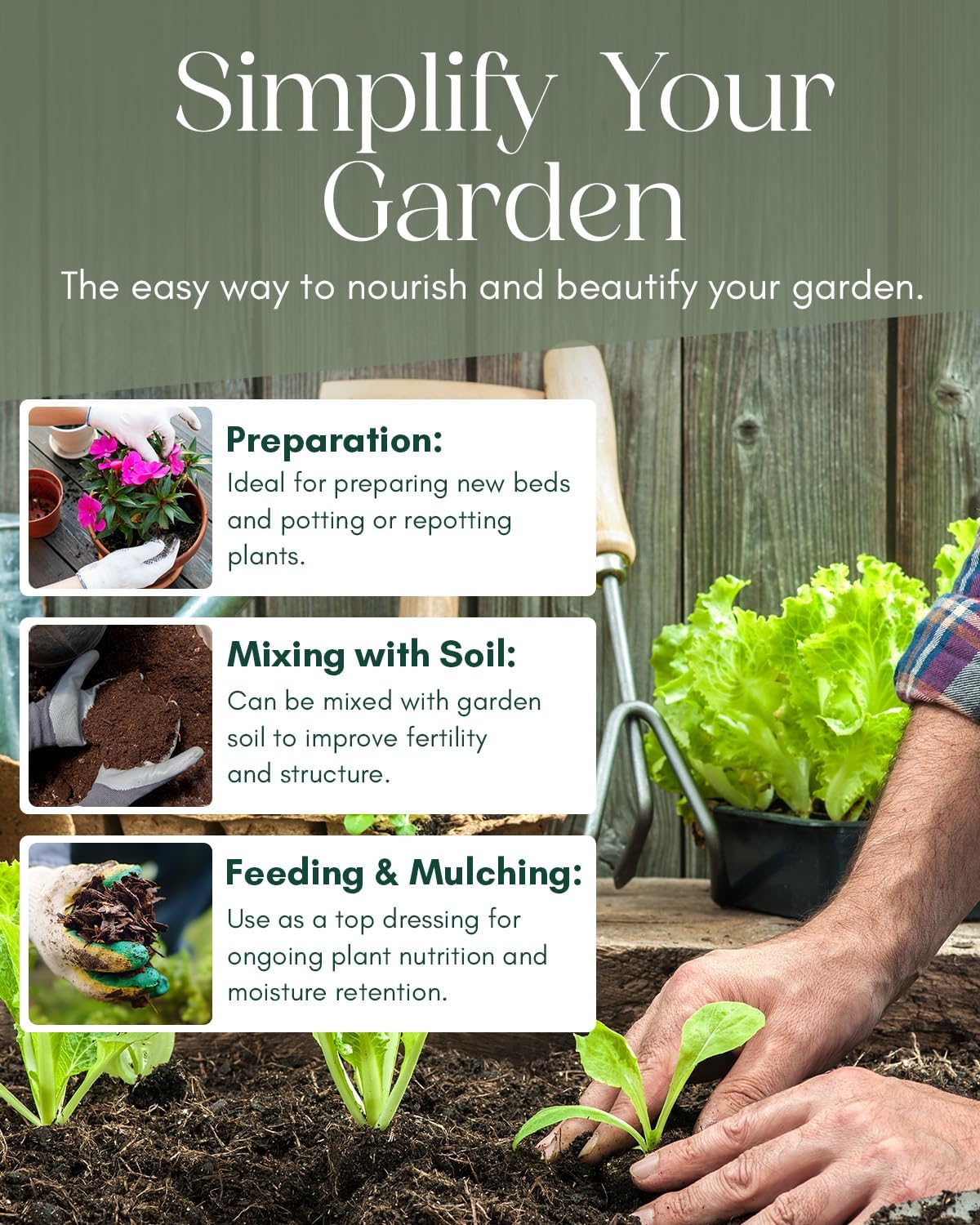 Pelle & Sol guide showing preparation, mixing with soil, and feeding and mulching steps beside lettuce seedlings