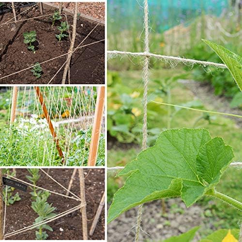 Jute twine tied between bamboo canes as a plant support frame on a vegetable plot