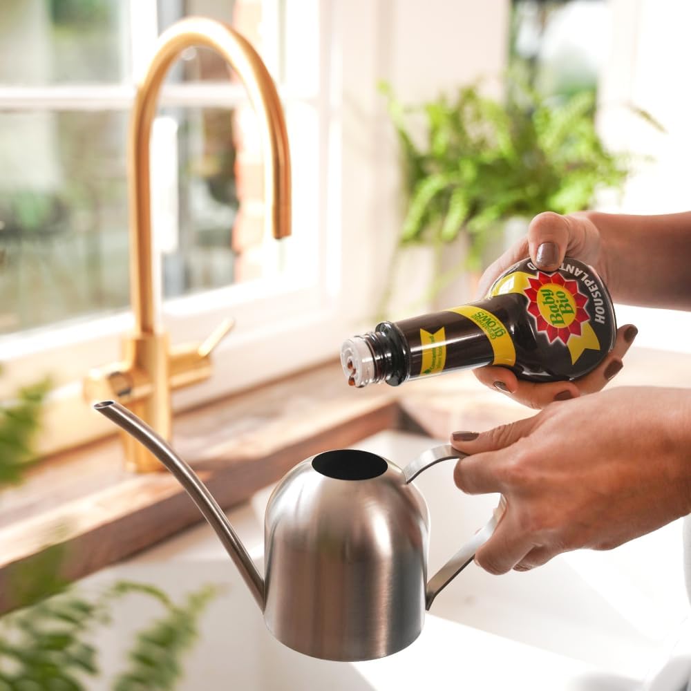 Hands pouring Baby Bio liquid concentrate into a silver watering can on a kitchen counter