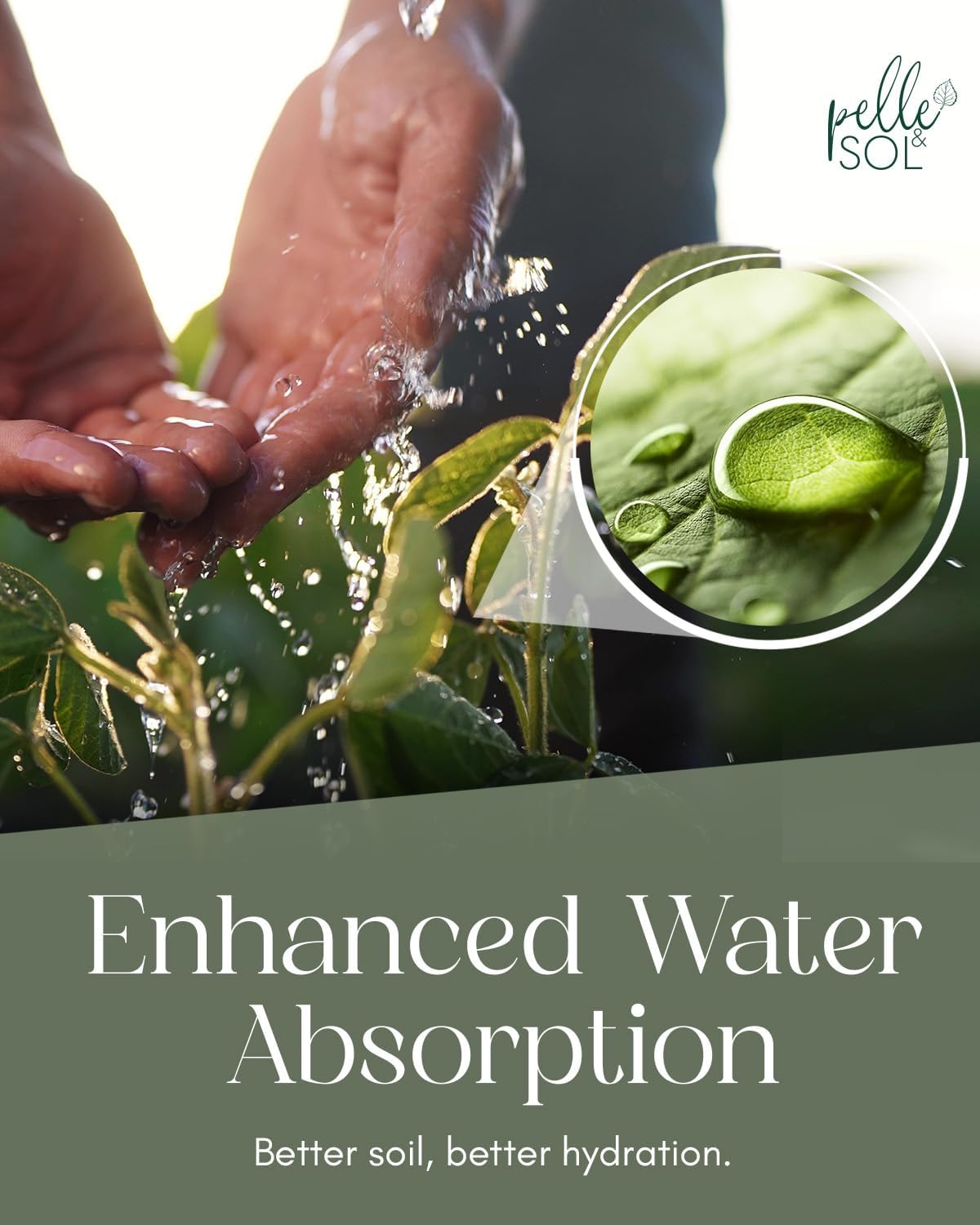 Pelle & Sol listing graphic promoting enhanced water absorption with water droplets on a leaf