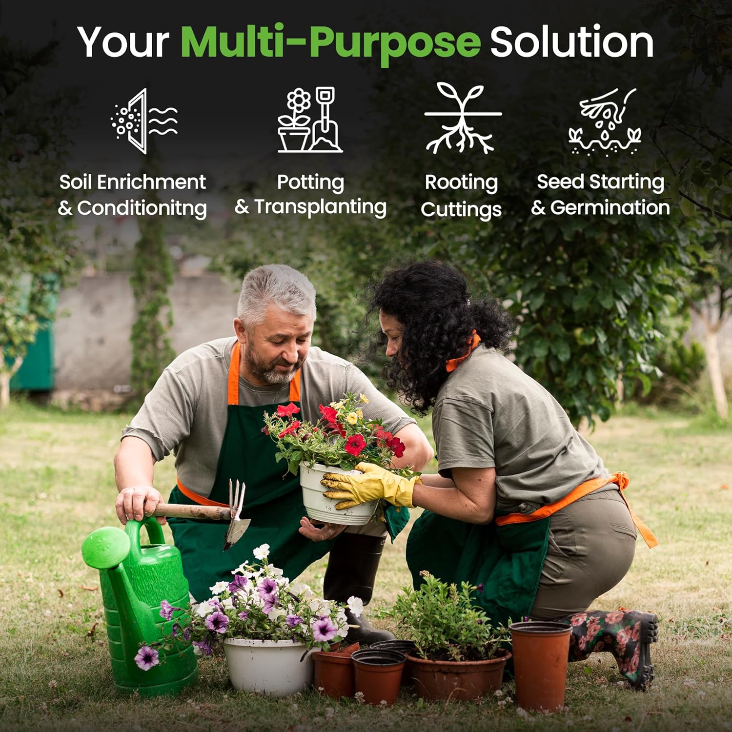 Infographic summary of Hardys 60L multi-purpose compost features and reviewer verdict