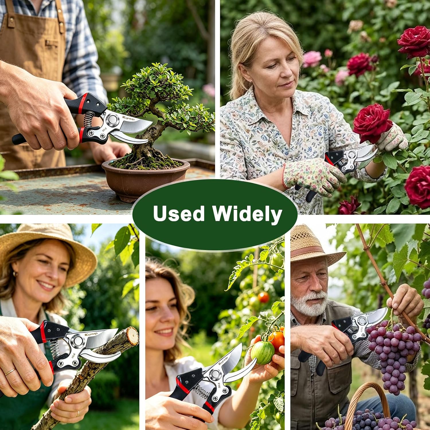 Collage of gardeners using Kynup secateurs on bonsai, roses, tomatoes and grape vines