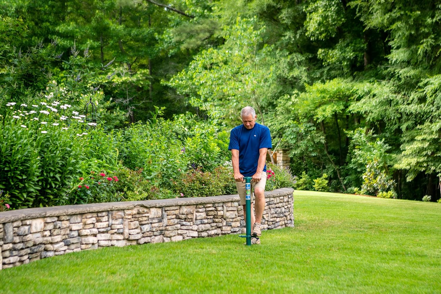 Gardener pushing the ProPlugger into a summer lawn beside a dry stone wall