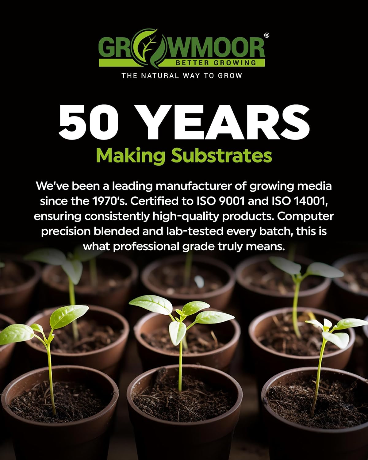 Growmoor multi-purpose compost in use in a garden setting