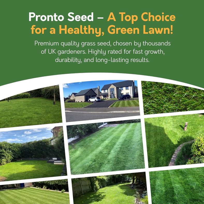 Pronto Seed chosen by thousands of UK gardeners with impressive results
