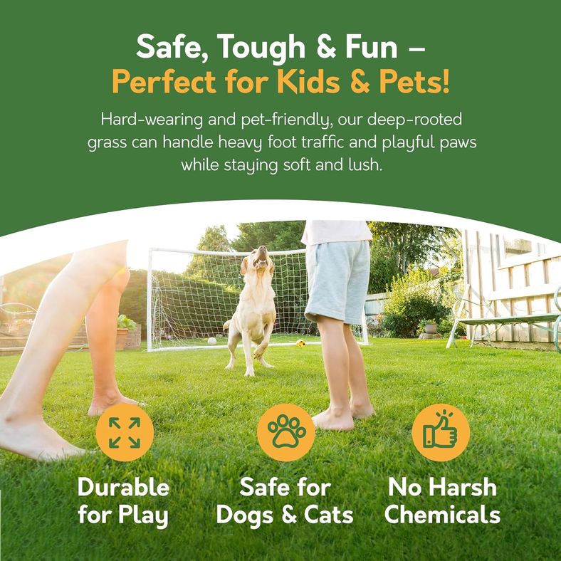 Lush green lawn with family and dog playing safely on hard-wearing grass