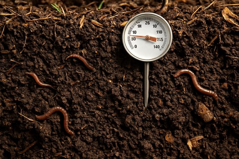 Cross-section view of well-prepared garden soil showing rich compost layers and healthy soil structure
