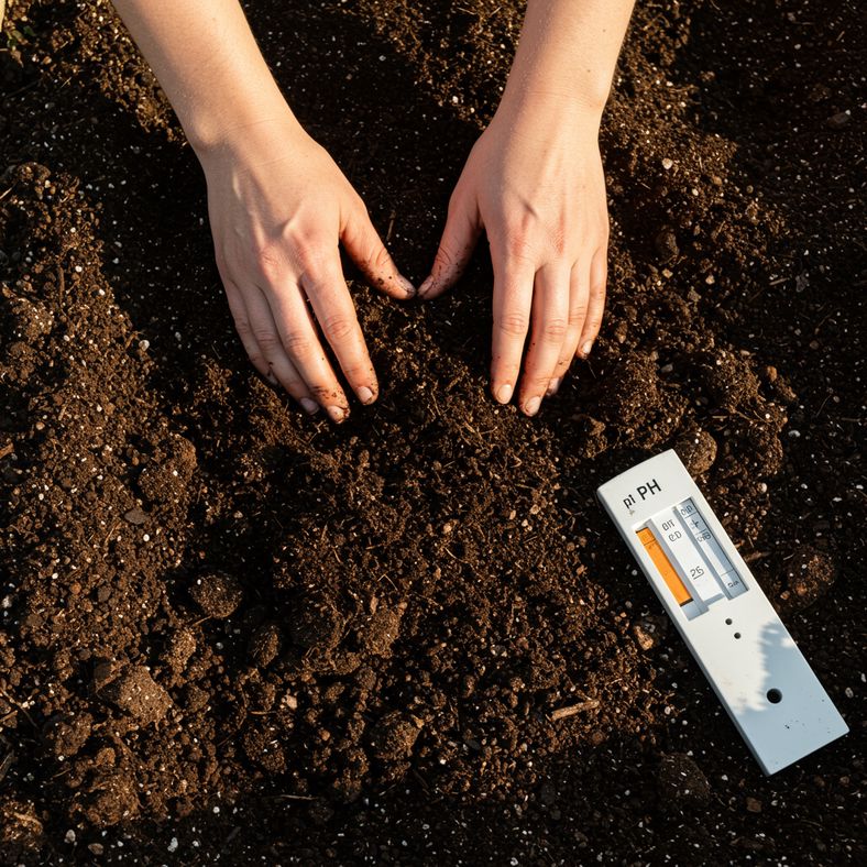 Hands mixing compost into dark garden soil with pH testing kit showing optimal 6.5 reading for tomatoes