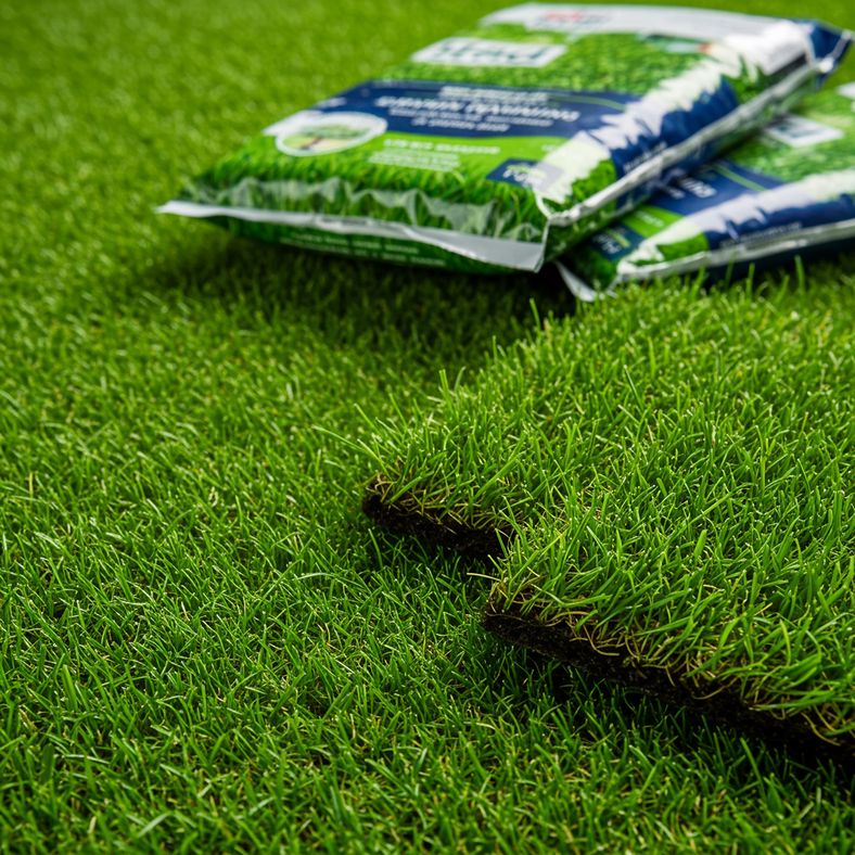 Premium grass seed packages displayed with germinating seedlings showing rapid growth