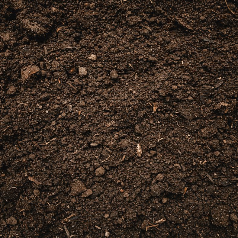 Well-prepared garden soil with organic compost mixed in, showing the ideal texture and consistency for perpetual spinach planting