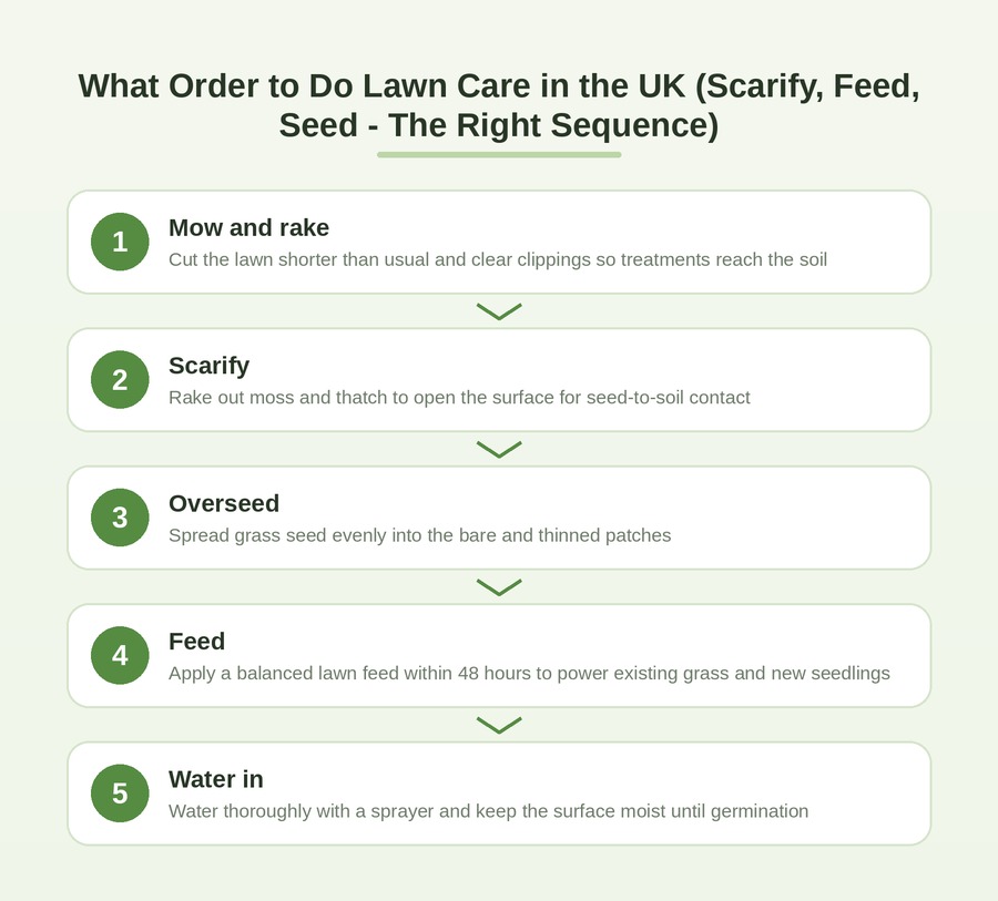 What order to do lawn care UK diagram showing the step-by-step sequence: mow and rake, scarify, overseed, feed, then water in