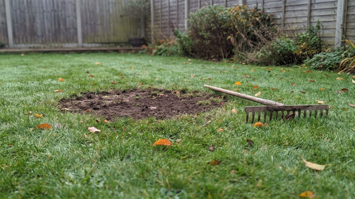 Bare patch of soil in a UK garden lawn ready for autumn lawn repair